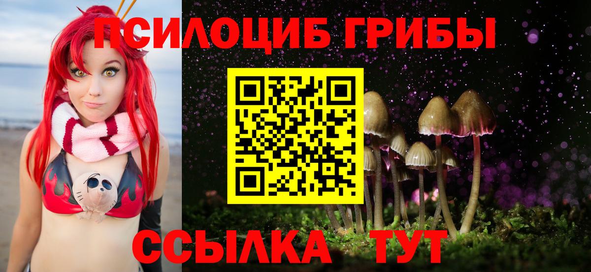 Красноярск  купить закладку  Вход с VPN  Галлюциногенные грибы GOLDEN TEACHER 